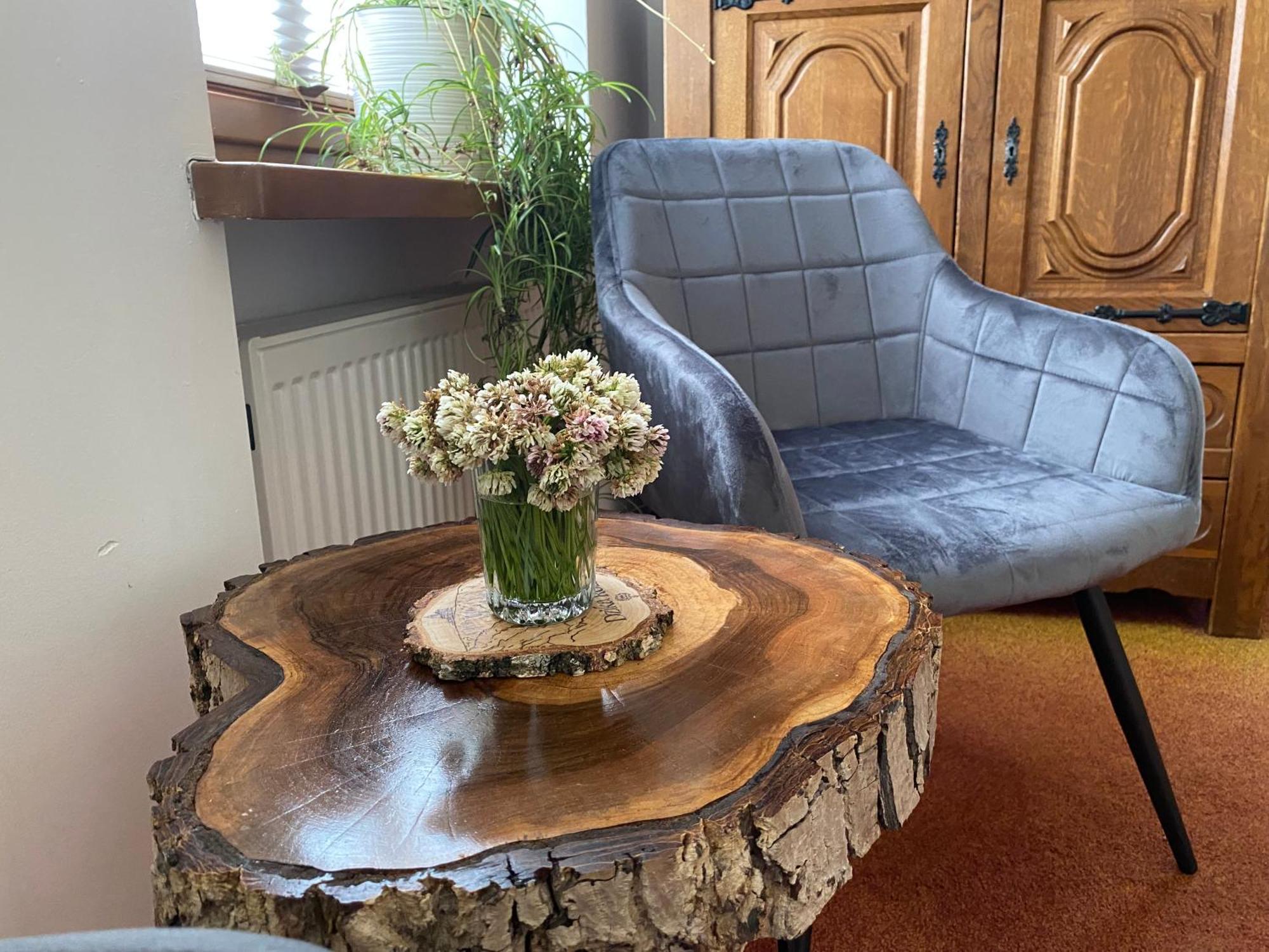 Willa Dzika Roza Szklarska Poreba Extérieur photo